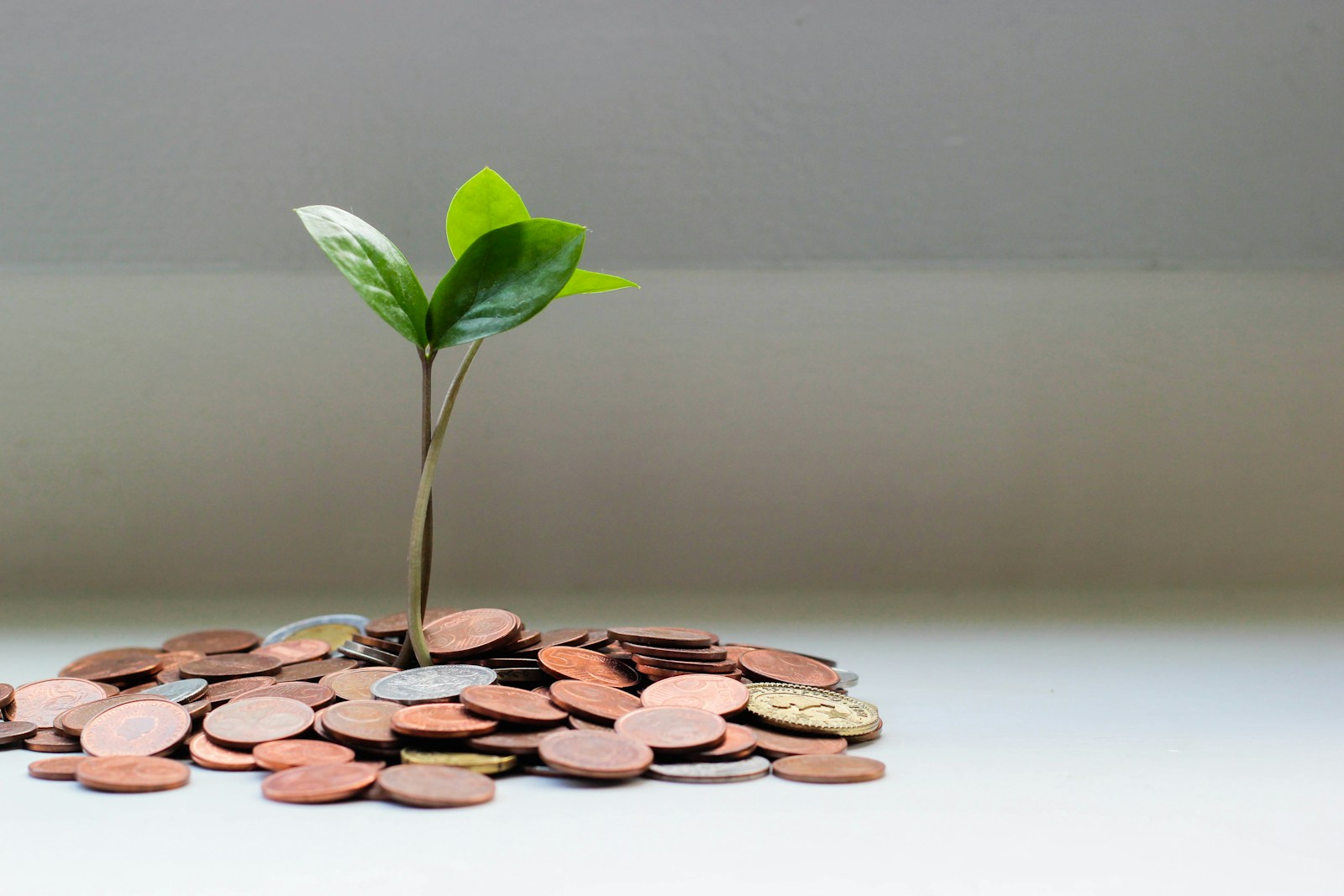 Personal growth is very important @ JobsFIND Remote JOBS