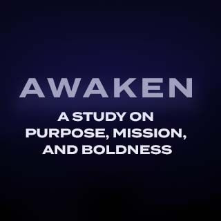 Awaken